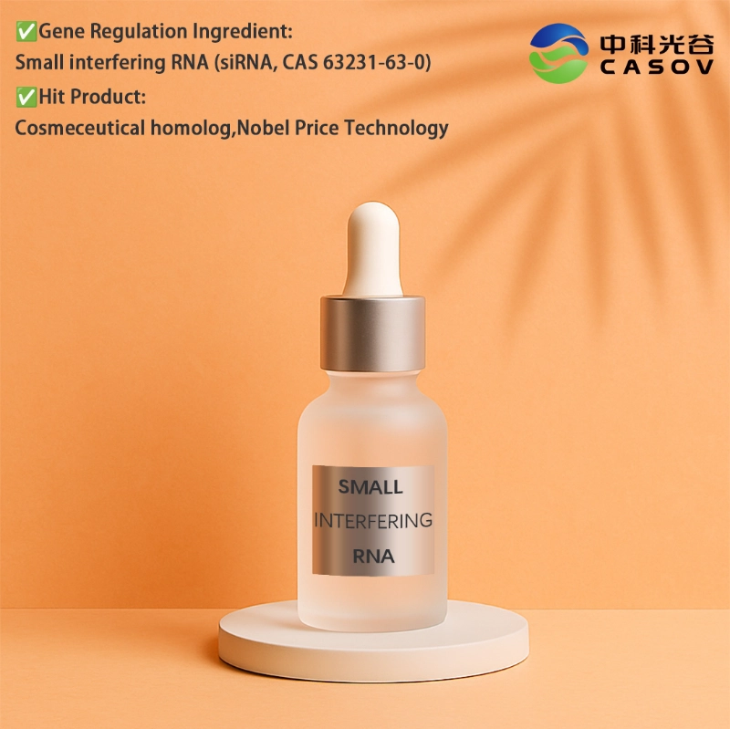 Petit ARN interférent (siRNA) Petit ARN interférent (siRNA)