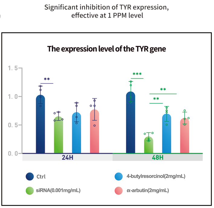 Ingrédients actifs siRNA dans les soins de la peau