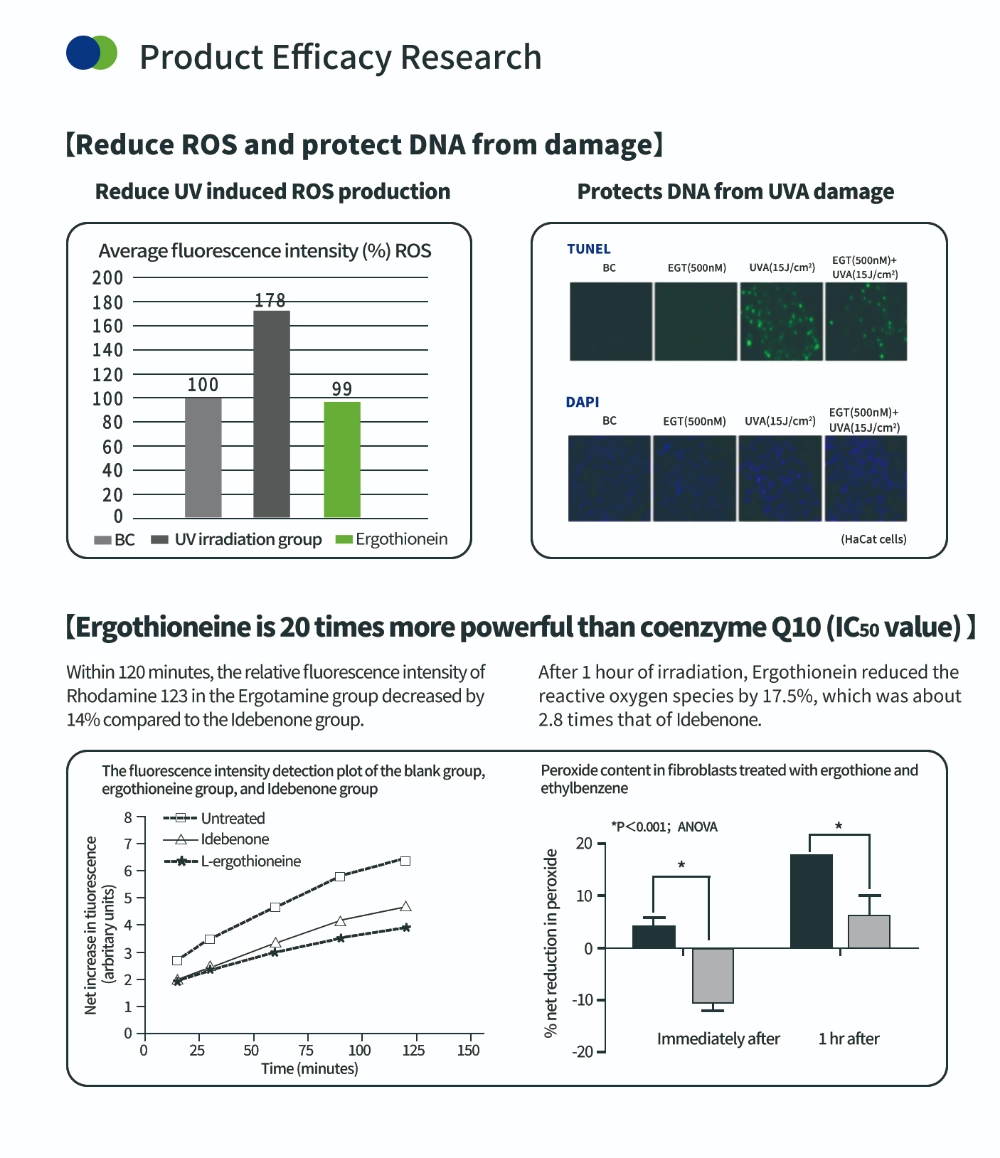 Composé antioxydant ergothionéine Composé antioxydant ergothionéine
