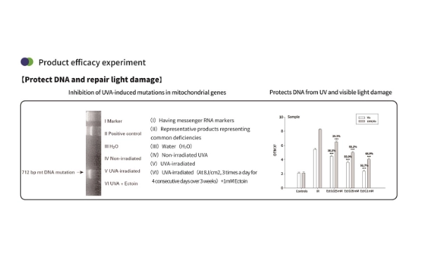 Poudre d'ectoïne pour la peau&nbsp;: protège, répare et hydrate naturellement