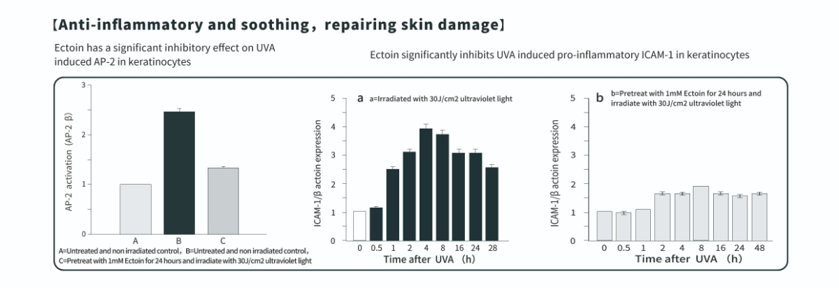 Avantages anti-inflammatoires de la poudre d'ectoïne pour la peau Avantages anti-inflammatoires de la poudre d'ectoïne pour la peau