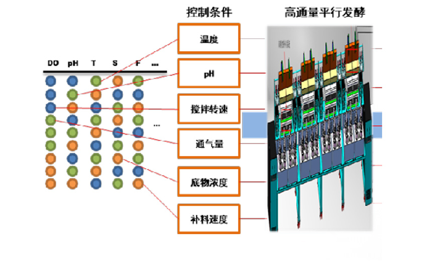 Plateforme de réglementation de fermentation intelligente et métabolique