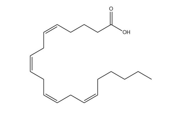 Acide arachidonique