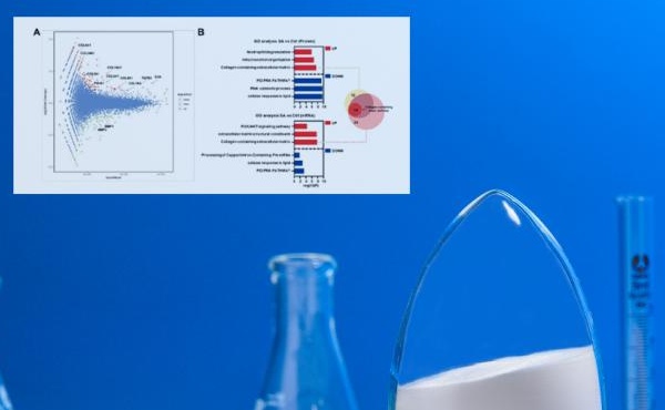 Magazine Beauty de renom "SofW Journal": OMICS Technology &amp; N-acétylneuraminic Acid - Décodage des secrets de la peau jeune