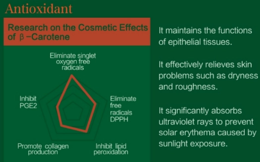 Effets antioxydants de la poudre de carotène bêta naturelle