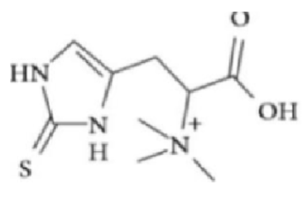 Ergothionéine