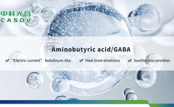 Rôle de l'acide aminobutyrique (GABA) dans les soins de la peau : une solution anti-âge naturelle